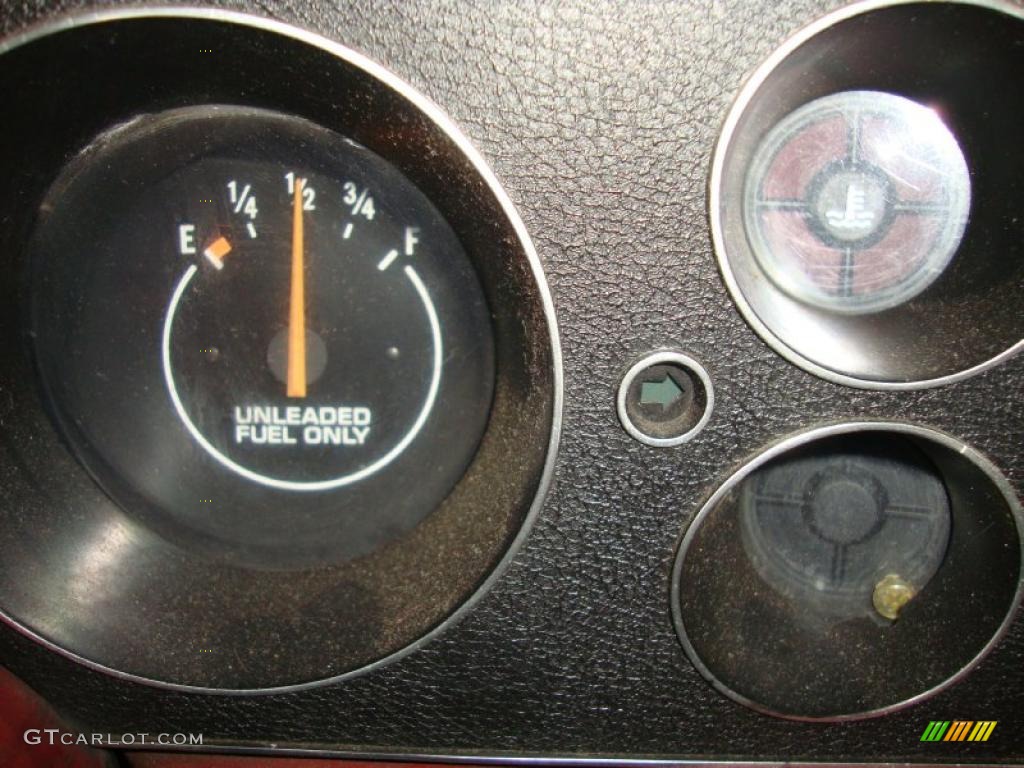 1979 Chevrolet Camaro Rally Sport Gauges Photo #42766560