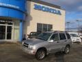 Silverleaf Metallic 2004 Chevrolet Tracker LT 4WD