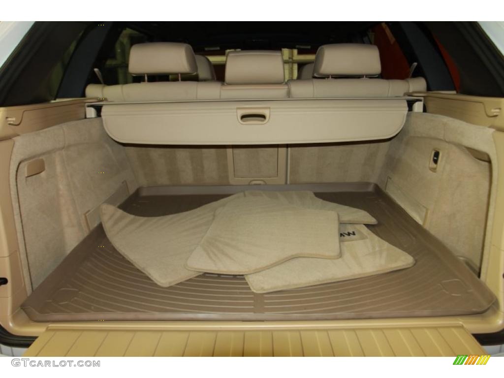 2010 BMW X5 xDrive48i Trunk Photo #42784853