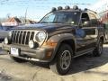 2006 Dark Khaki Pearl Jeep Liberty Renegade 4x4  photo #3