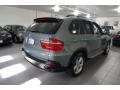 Mineral Green Metallic - X5 3.0si Photo No. 10