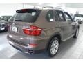 Sparkling Bronze Metallic 2011 BMW X5 xDrive 35i Exterior