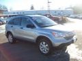 Whistler Silver Metallic - CR-V EX 4WD Photo No. 1