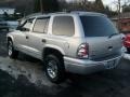 2003 Bright Silver Metallic Dodge Durango SLT 4x4  photo #4