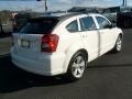 Stone White - Caliber SXT Photo No. 7