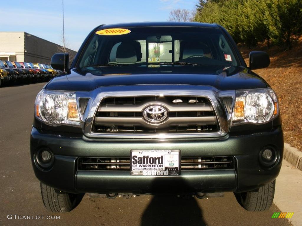 2009 Timberland Green Mica Toyota SR5 Access Cab 42809538 Photo