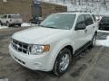 2011 White Suede Ford Escape XLT V6 4WD  photo #5
