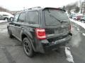 2010 Black Ford Escape XLT V6 Sport Package 4WD  photo #4