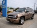 2002 Sandalwood Metallic Chevrolet TrailBlazer LS  photo #4