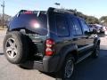 2006 Deep Beryl Green Pearl Jeep Liberty Renegade  photo #3