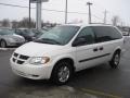 Stone White - Grand Caravan SE Photo No. 10