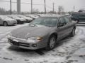 Bright Platinum Metallic - Intrepid ES Sedan Photo No. 10