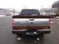 2011 Golden Bronze Metallic Ford F150 Platinum SuperCrew 4x4  photo #3