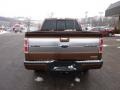 Golden Bronze Metallic 2011 Ford F150 Platinum SuperCrew 4x4 Exterior