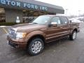 2011 Golden Bronze Metallic Ford F150 Platinum SuperCrew 4x4  photo #8