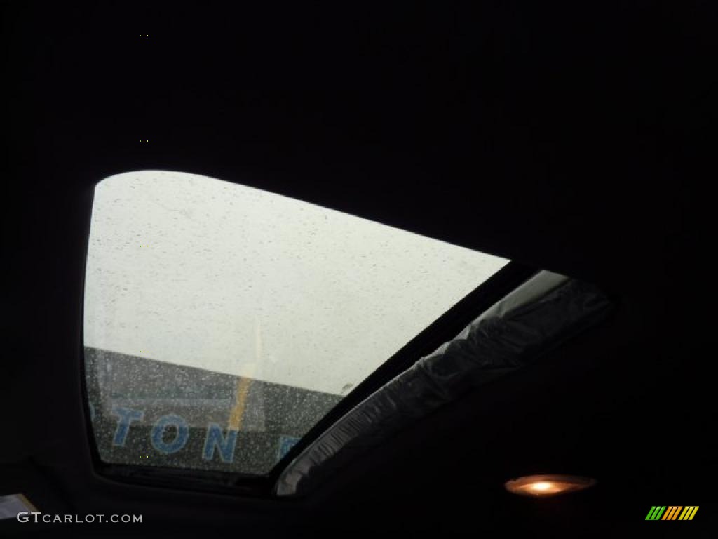 2011 Ford F150 Platinum SuperCrew 4x4 Sunroof Photo #42827296