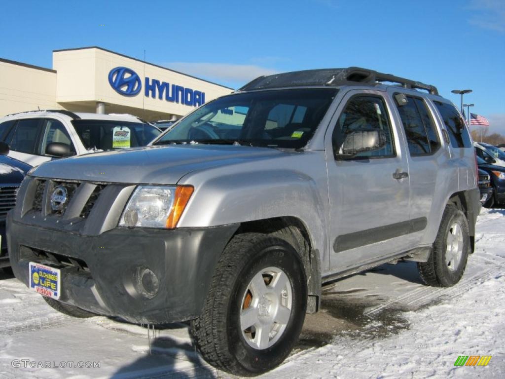 Silver Lightning Metallic Nissan Xterra