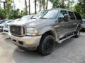 2004 Mineral Gray Metallic Ford Excursion Eddie Bauer 4x4  photo #4