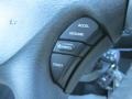 Magnesium Pearl - Grand Caravan SXT Photo No. 31
