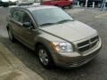 Light Khaki Metallic - Caliber SE Photo No. 6
