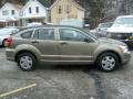 Light Khaki Metallic - Caliber SE Photo No. 9