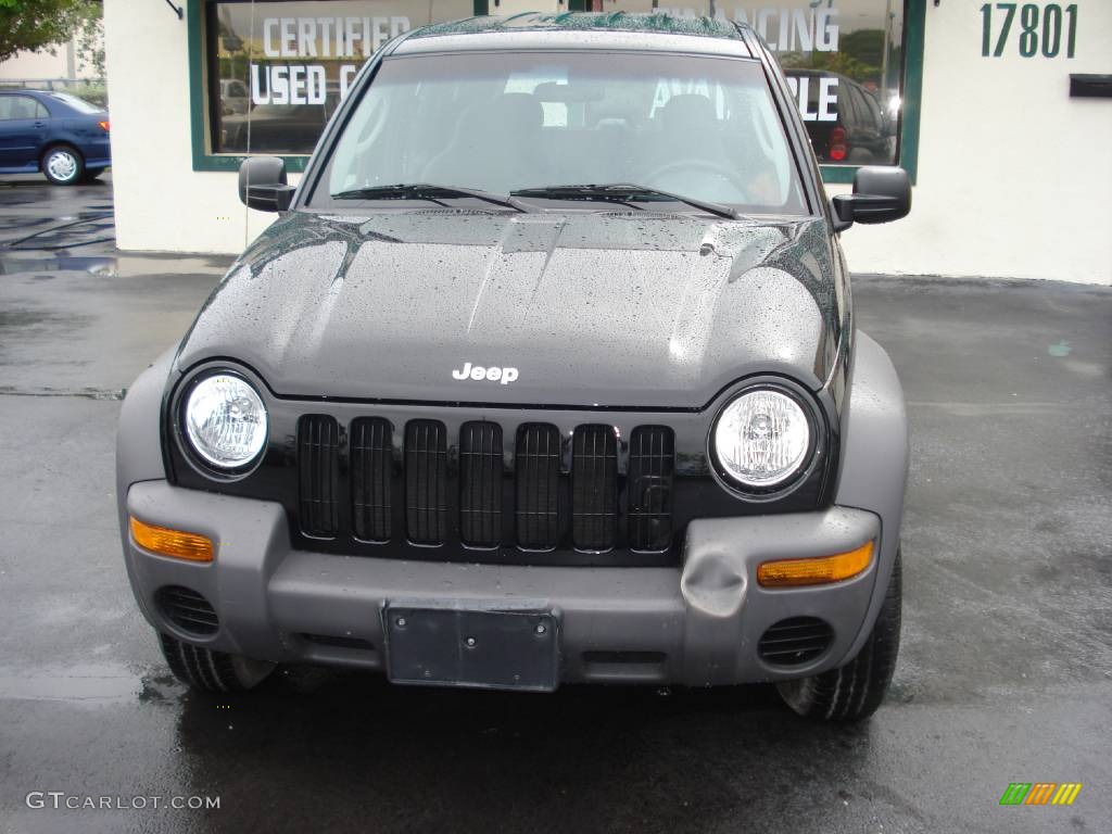 2002 Liberty Sport - Black / Dark Slate Gray photo #3