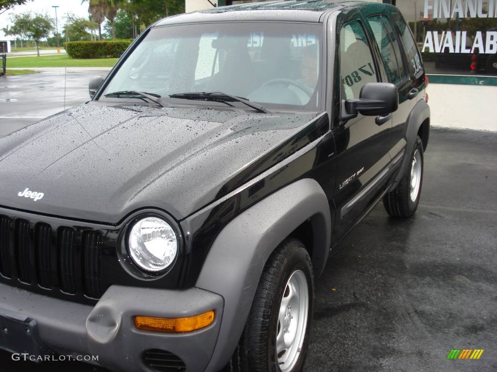 2002 Liberty Sport - Black / Dark Slate Gray photo #4