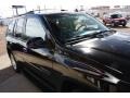Black Onyx - Envoy Denali 4x4 Photo No. 22