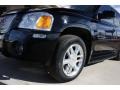 Black Onyx - Envoy Denali 4x4 Photo No. 26