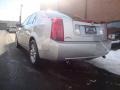 Light Platinum - CTS Sport Sedan Photo No. 3