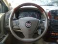 Light Platinum - CTS Sport Sedan Photo No. 13