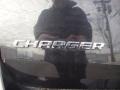 Brilliant Black Crystal Pearl - Charger  Photo No. 13