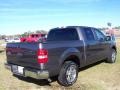 2007 Dark Shadow Grey Metallic Ford F150 XLT SuperCrew  photo #5