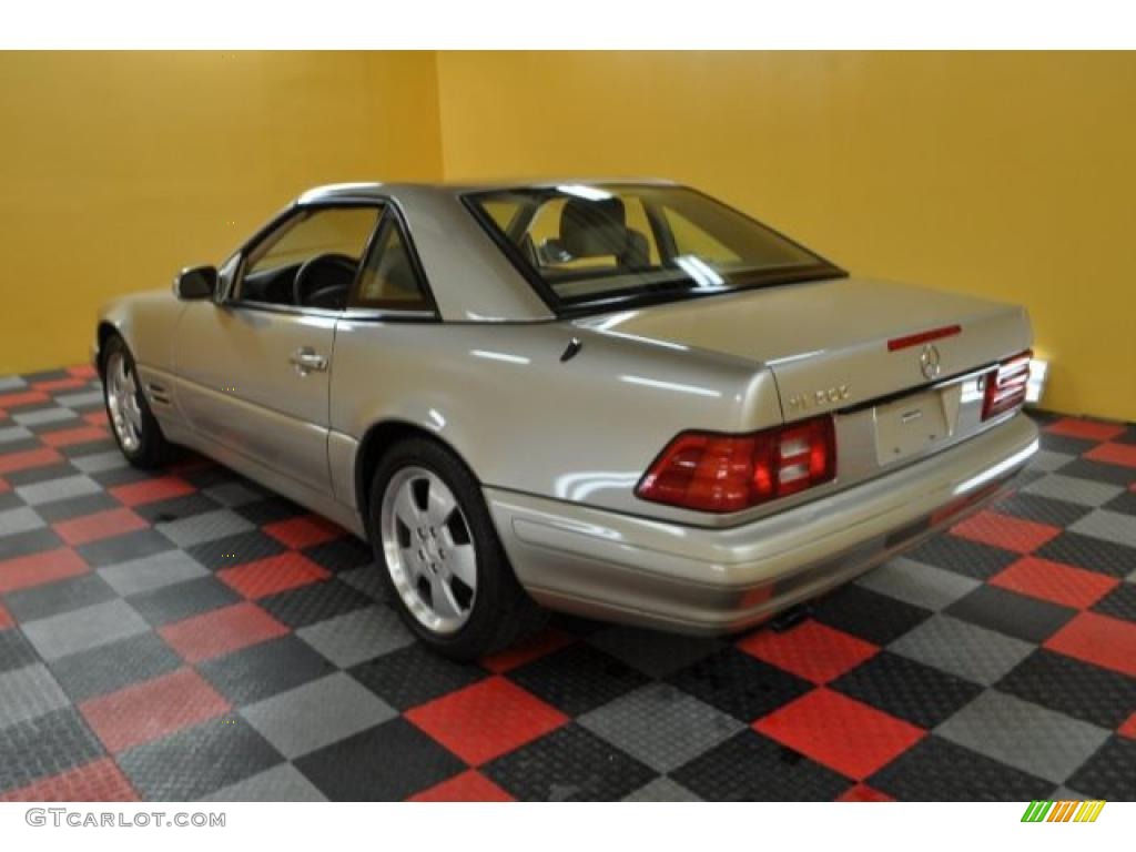 1999 SL 500 Roadster - Smoke Silver Metallic / Java photo #3