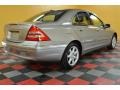 Pewter Silver Metallic - C 240 4Matic Sedan Photo No. 4