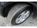 Crystal Black Pearl - MDX Technology Photo No. 18