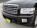 Liquid Onyx Black - QX 56 4WD Photo No. 13