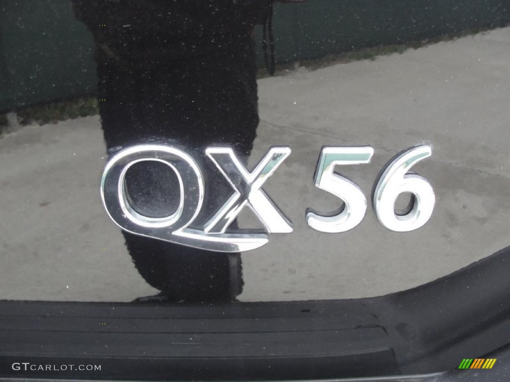 2010 QX 56 4WD - Liquid Onyx Black / Graphite photo #22