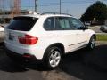Alpine White - X5 3.0si Photo No. 8