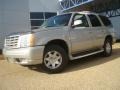 Quicksilver - Escalade AWD Photo No. 2