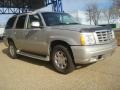 Quicksilver - Escalade AWD Photo No. 7