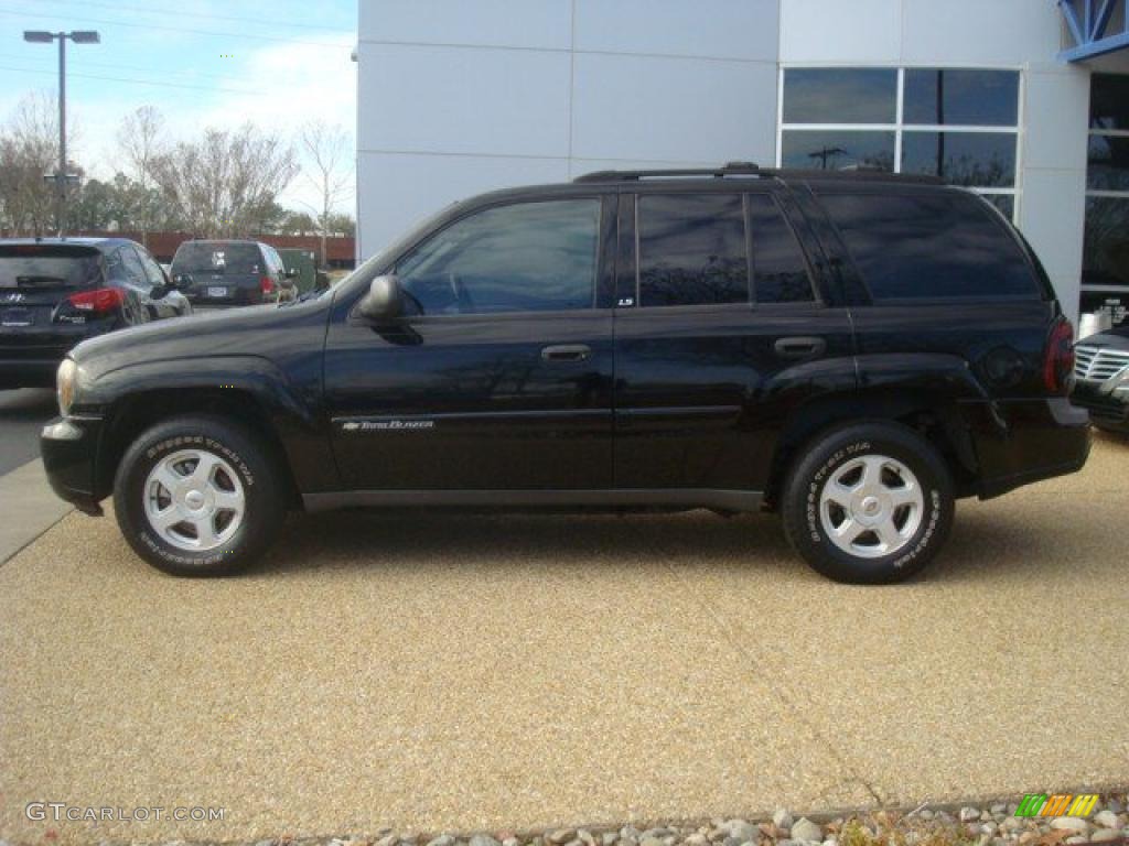 2002 TrailBlazer LS - Onyx Black / Dark Pewter photo #3