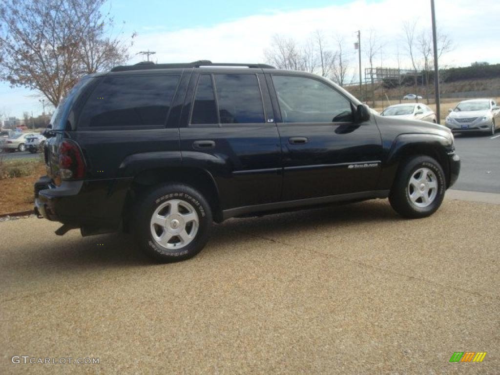 2002 TrailBlazer LS - Onyx Black / Dark Pewter photo #7