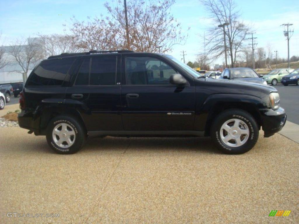 2002 TrailBlazer LS - Onyx Black / Dark Pewter photo #8