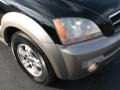 Ebony Black - Sorento EX Photo No. 2