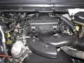 5.4 Liter SOHC 24 Valve Triton V8 2005 Ford F250 Super Duty XLT SuperCab 4x4 Engine