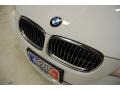 2009 Alpine White BMW 3 Series 335i Sedan  photo #14