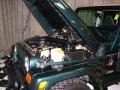 2000 Forest Green Pearl Jeep Wrangler Sahara 4x4  photo #11