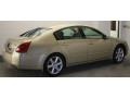 Champagne Mist Metallic - Maxima 3.5 SE Photo No. 2
