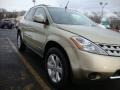 2007 Chardonnay Metallic Nissan Murano S AWD  photo #7